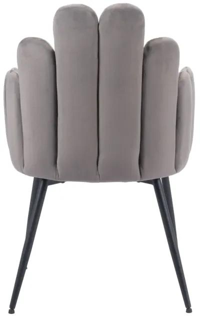 Noosa Dining Chair (Set of 2) Gray