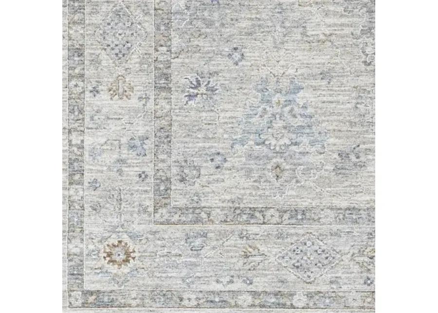 Virginia VGN-2300 2'2" x 7'7" Rug