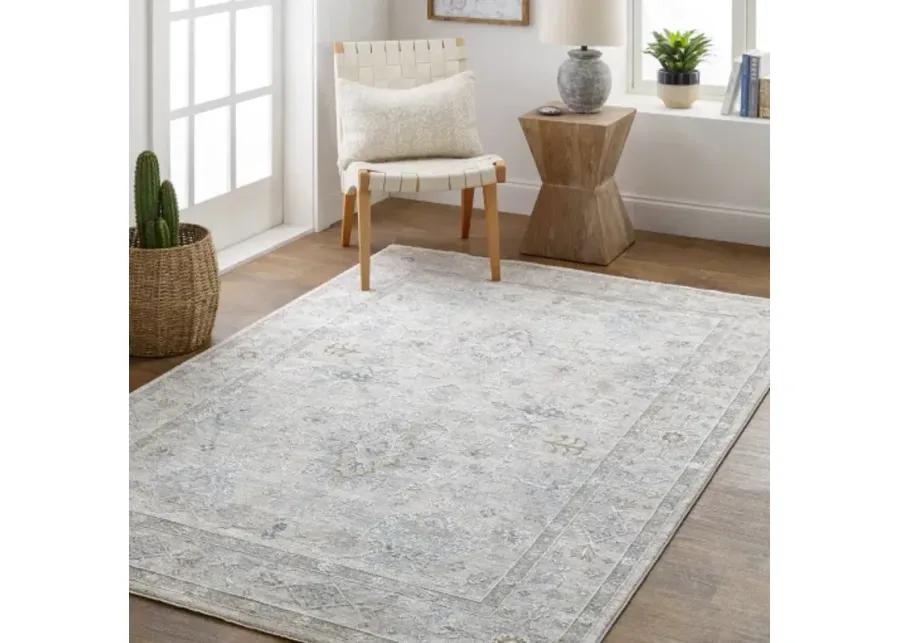 Virginia VGN-2300 2'2" x 7'7" Rug