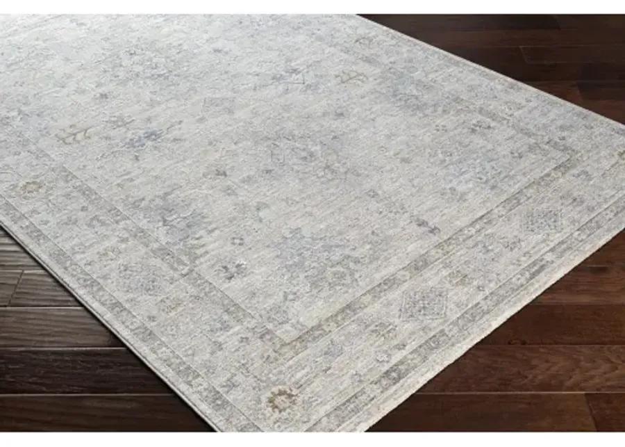 Virginia VGN-2300 2'2" x 7'7" Rug