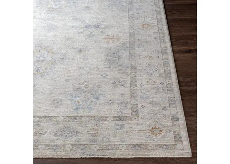 Virginia VGN-2300 2'2" x 7'7" Rug