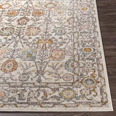 Ankara AKR-2332 2'7" x 7'3" Rug