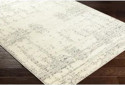 La Boheme LHB-2301 2'7" x 10' Machine Woven Rug