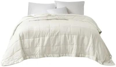 Madison Park Cambria Ivory Oversized Down Alternative Blanket with Satin Trim