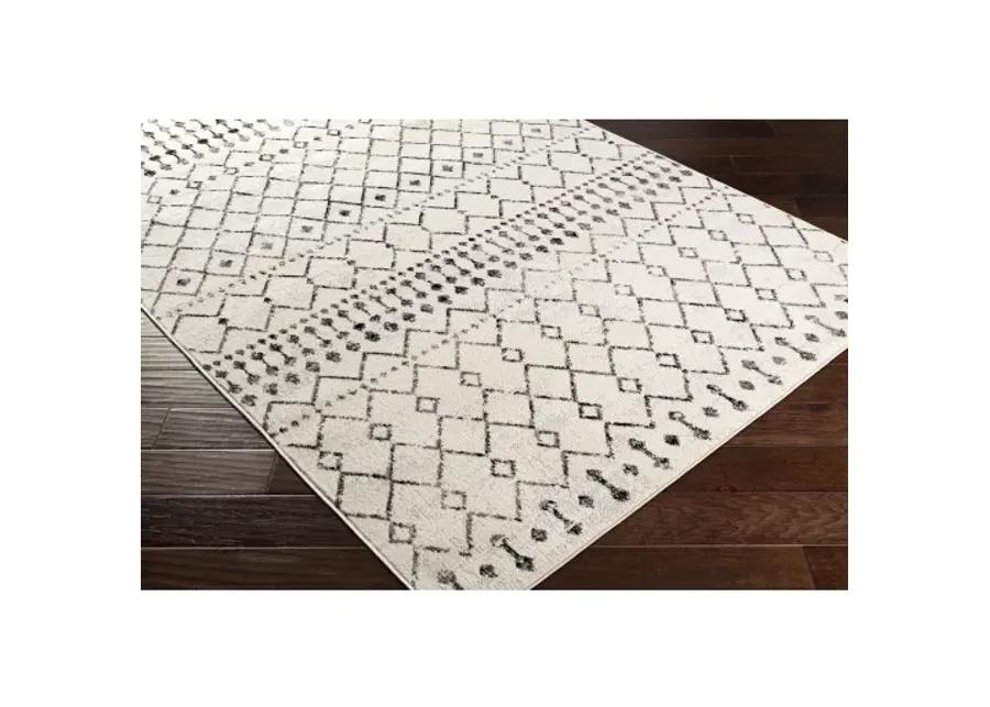 Pisa 5' x 7' Rug