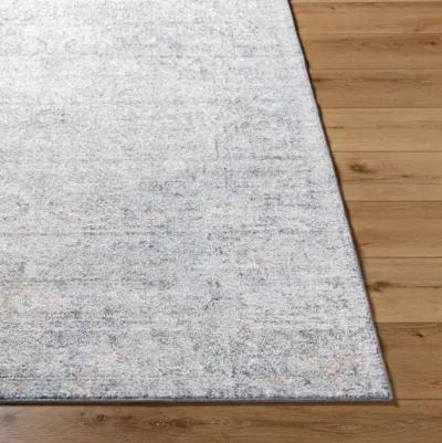 Harput HAP-1164 5'3" x 7'3" Machine Woven Rug