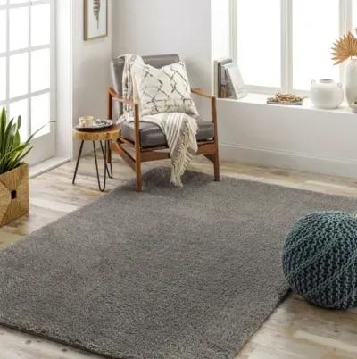 Cloudy Shag CDG-2304 5'3" x 7' Machine Woven Rug