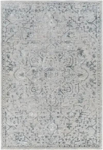 Brunswick 2'7" x 4' Rug