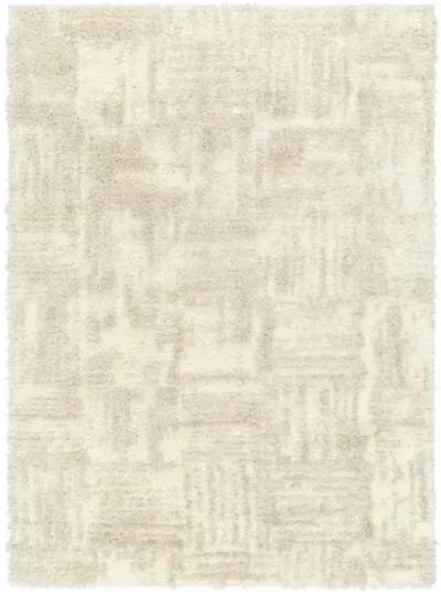 Everton Plus EVP-2319 2' x 2'11" Machine Woven Rug