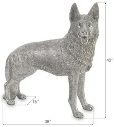 german shepherd, silver leaf