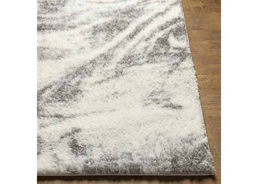 Cloudy Shag CDG-2308 6'7" x 9' Machine Woven Rug