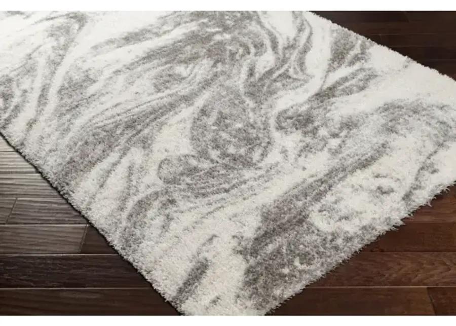 Cloudy Shag CDG-2308 6'7" x 9' Machine Woven Rug