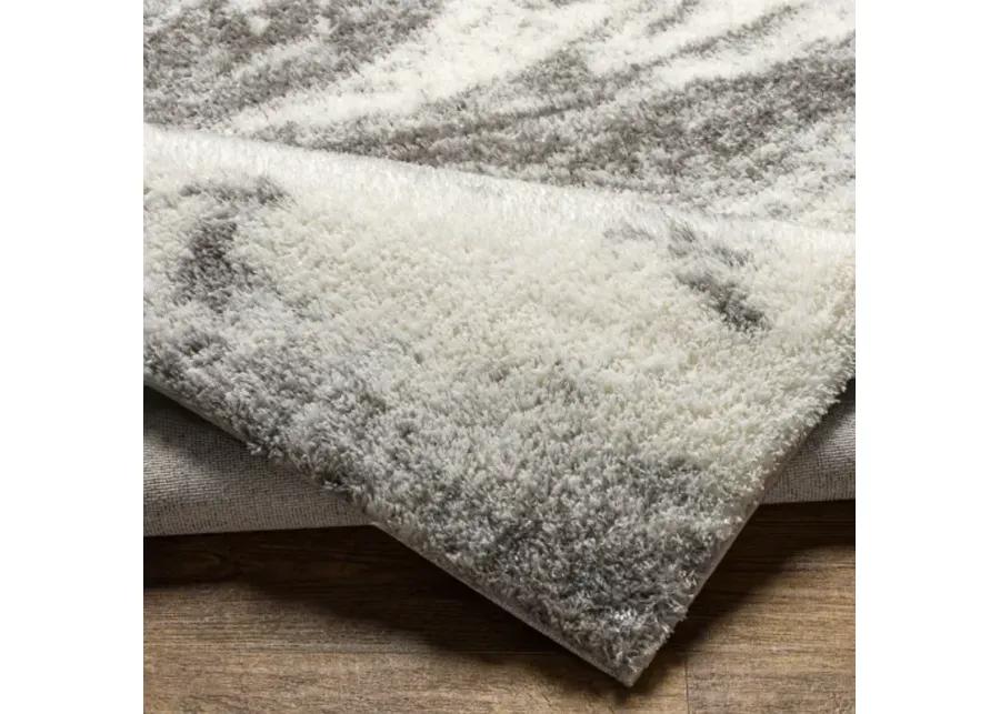 Cloudy Shag CDG-2308 6'7" x 9' Machine Woven Rug