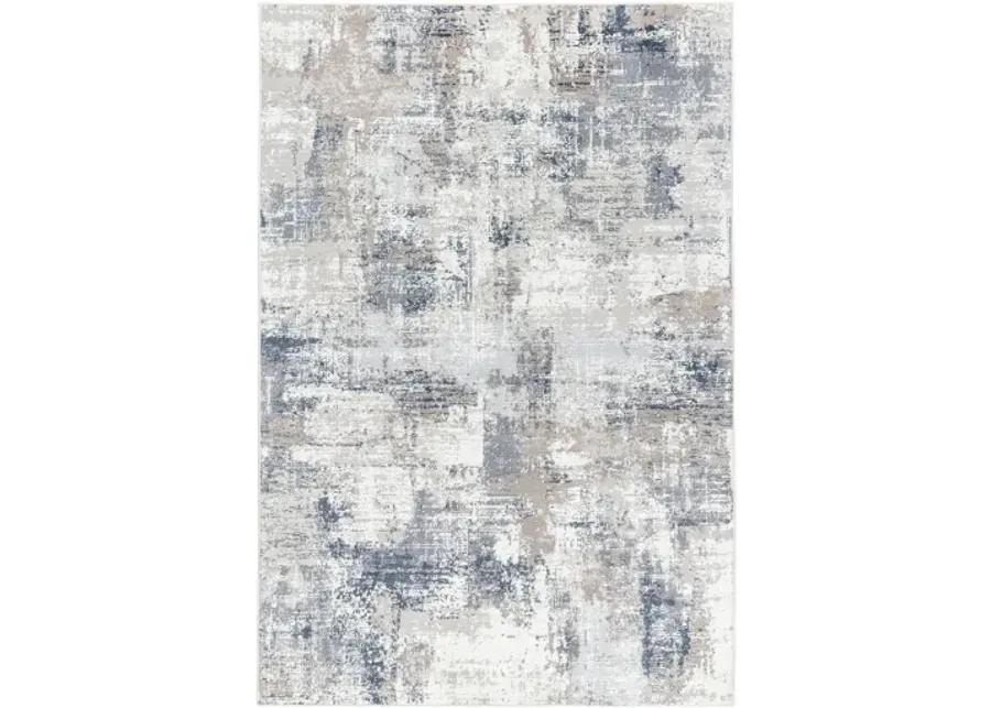 Nesta NST-2303 5'3" x 7' Machine Woven Rug