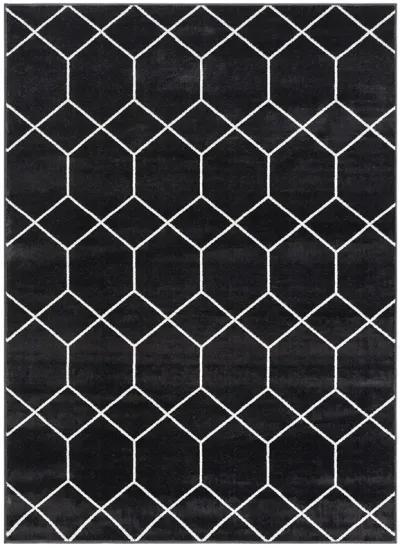 Madison Park Averie Black/Cream Trellis Geometric Woven Area Rug