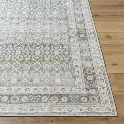 Rainier PNWRN-2304 2'7" x 12' Machine Woven Rug