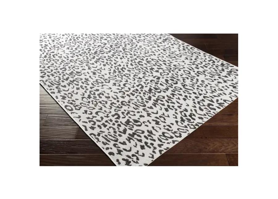 Eagean 5'3" x 7'7" Rug