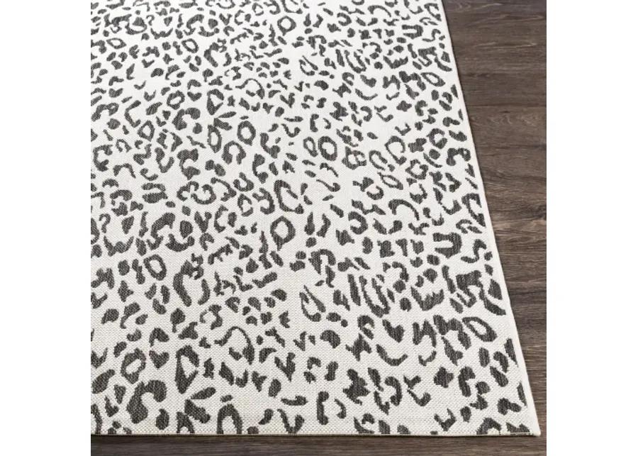 Eagean 5'3" x 7'7" Rug