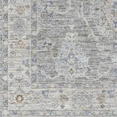 Virginia VGN-2303 2'2" x 7'7" Rug