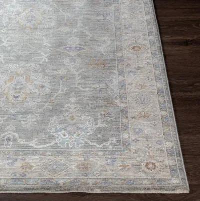 Virginia VGN-2303 2'2" x 7'7" Rug