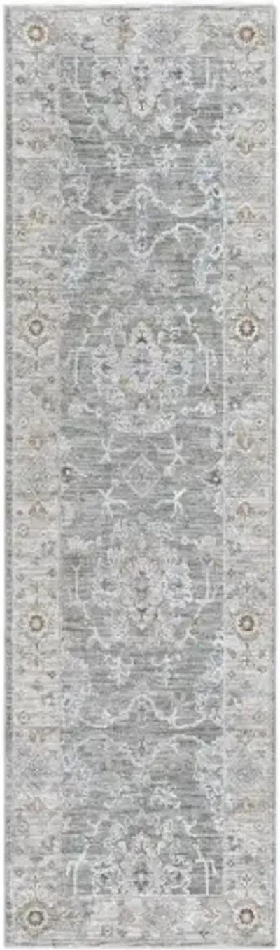 Virginia VGN-2303 2'2" x 7'7" Rug