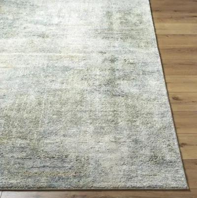 Avellino AVL-2328 2'7" x 7'3" Machine Woven Rug