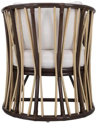 Shanaya Rattan Accent Arm Chair, Paloma Brown