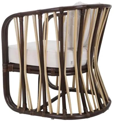 Shanaya Rattan Accent Arm Chair, Paloma Brown