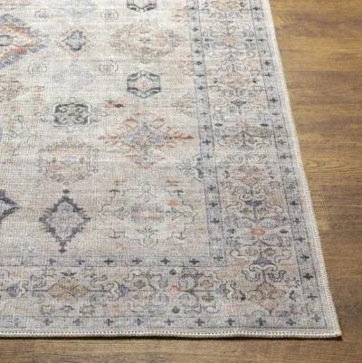 Alanya ALY-2302 2'7" x 7'3" Rug