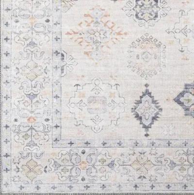 Alanya ALY-2302 2'7" x 7'3" Rug