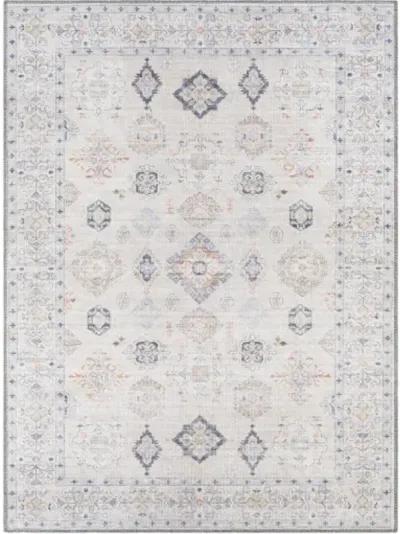 Alanya ALY-2302 2'7" x 7'3" Rug