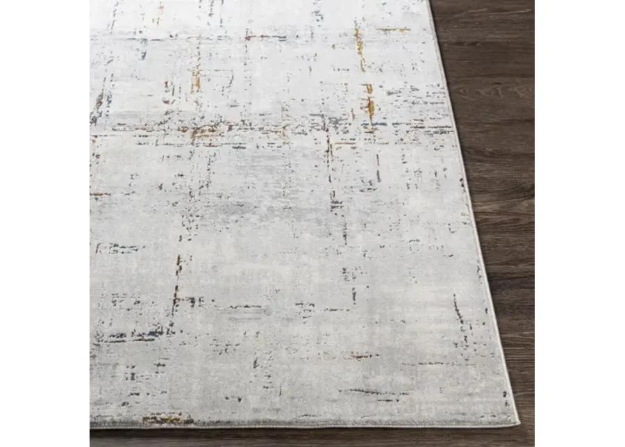 Aisha AIS-2317 2'7" x 7'7" Rug