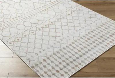 Pisa PSS-2386 7'10" x 10' Machine Woven Rug