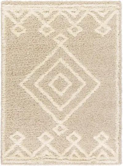 Urban Shag USG-2312 5'3" x 7'3" Machine Woven Rug