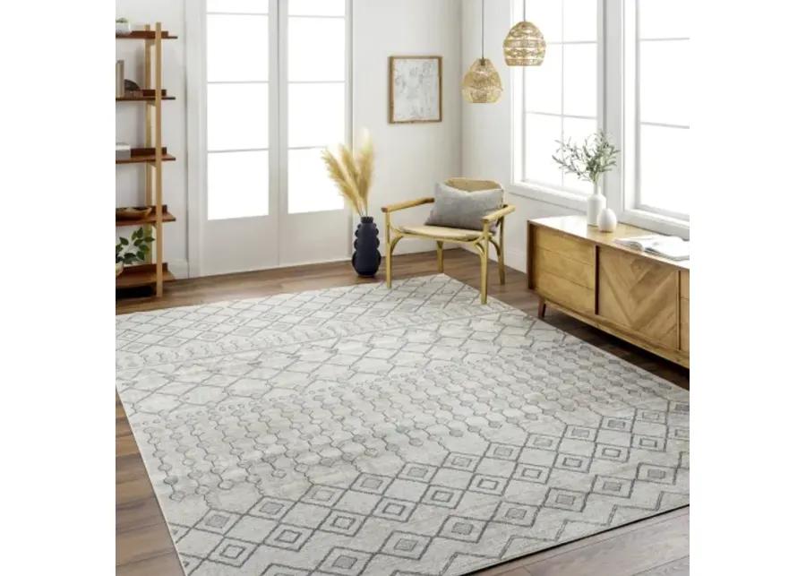 Lavadora 5'3" x 7' Rug