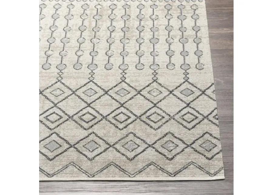 Lavadora 5'3" x 7' Rug