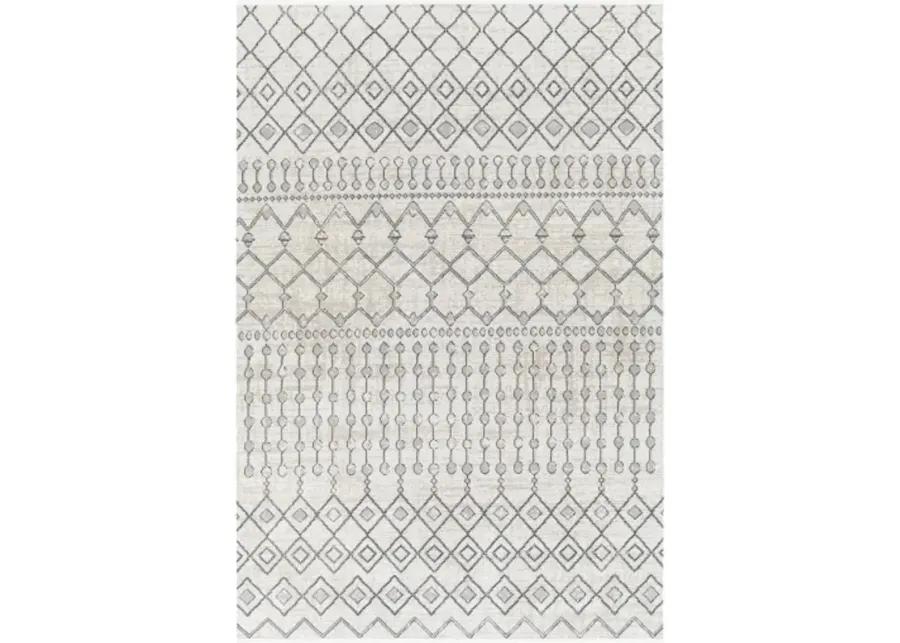 Lavadora 5'3" x 7' Rug