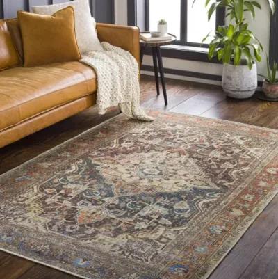 Amelie AML-2343 2'7" x 7'10" Rug