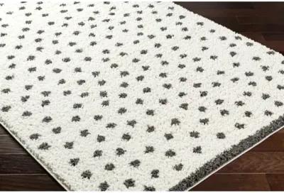 Birmingham BMM-2301 5'3" x 7' Machine Woven Rug