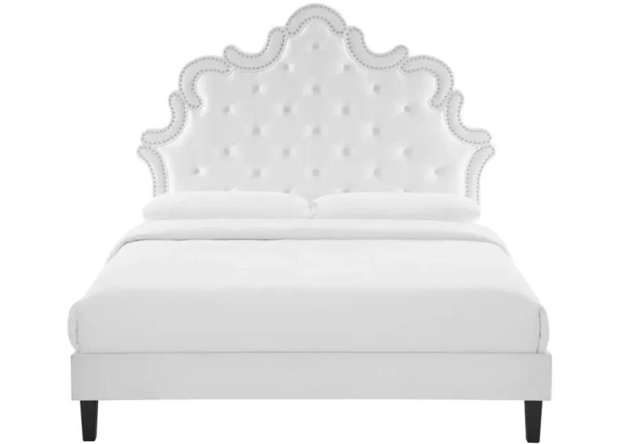 Sasha Button-Tufted Performance Velvet King Bed