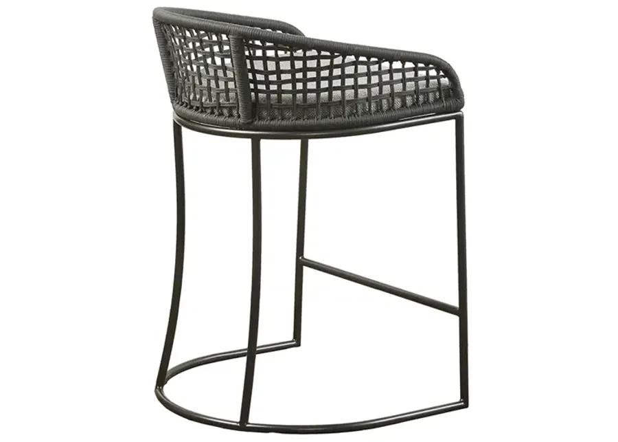 Madison Park Hermosa Counter Stool