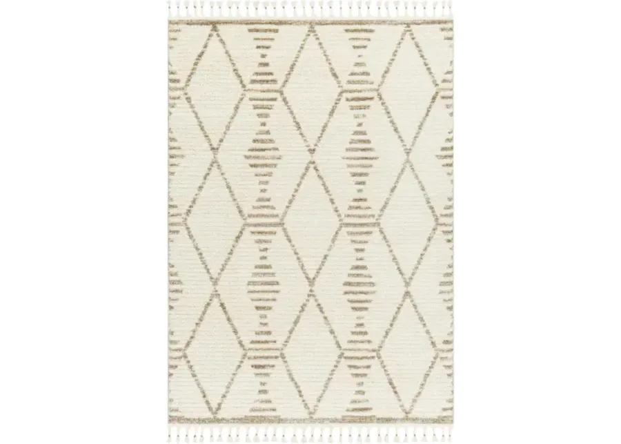 Valencia VLC-2319 6'7" x 9' Machine Woven Rug