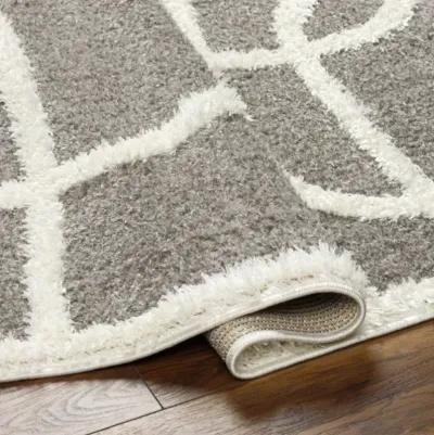 Rodos RDO-2339 7'10" x 10' Machine Woven Rug