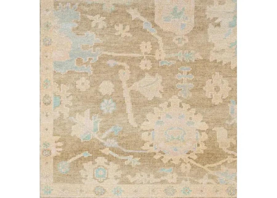 Antalya AAT-2309 2' x 3' Handmade Rug