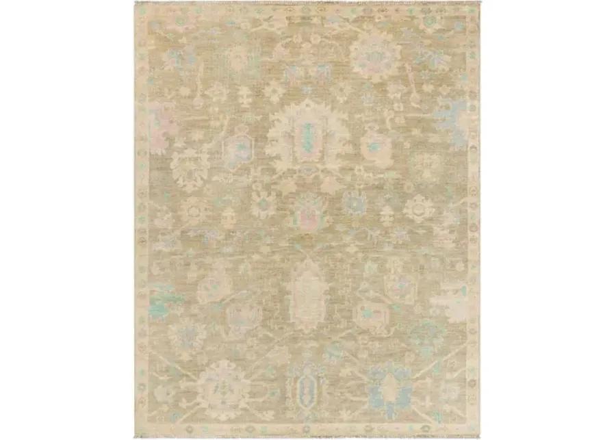 Antalya AAT-2309 2' x 3' Handmade Rug