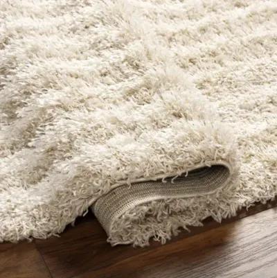 Urban Shag USG-2315 5'3" x 7'3" Machine Woven Rug