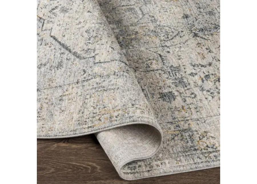 Laila 7'10" x 10'3" Rug