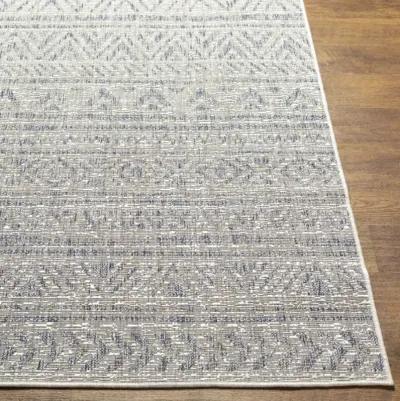 Eagean 5'3" x 7'7" Rug