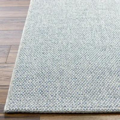 Birdie BORD-2304 8'11" x 12' Machine Woven Rug