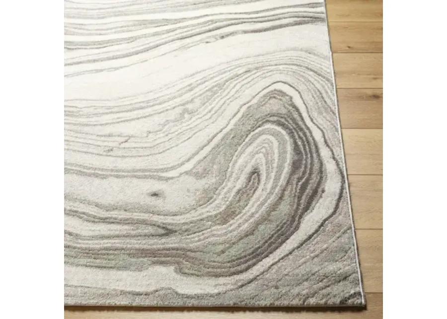 Roma ROM-2409 7'10" x 10' Machine Woven Rug